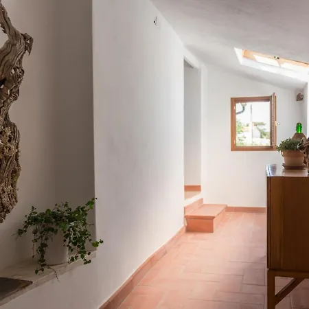 Schiaccia Ghiande Séjour à la ferme Massa Marittima