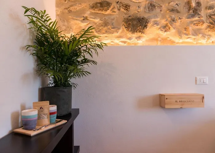 Schiaccia Ghiande 马萨马里蒂马