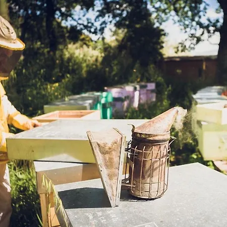 Farm stay Schiaccia Ghiande Massa Marittima